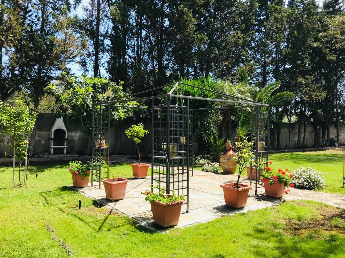 Dimora Il Tiglio- Mini Apartment