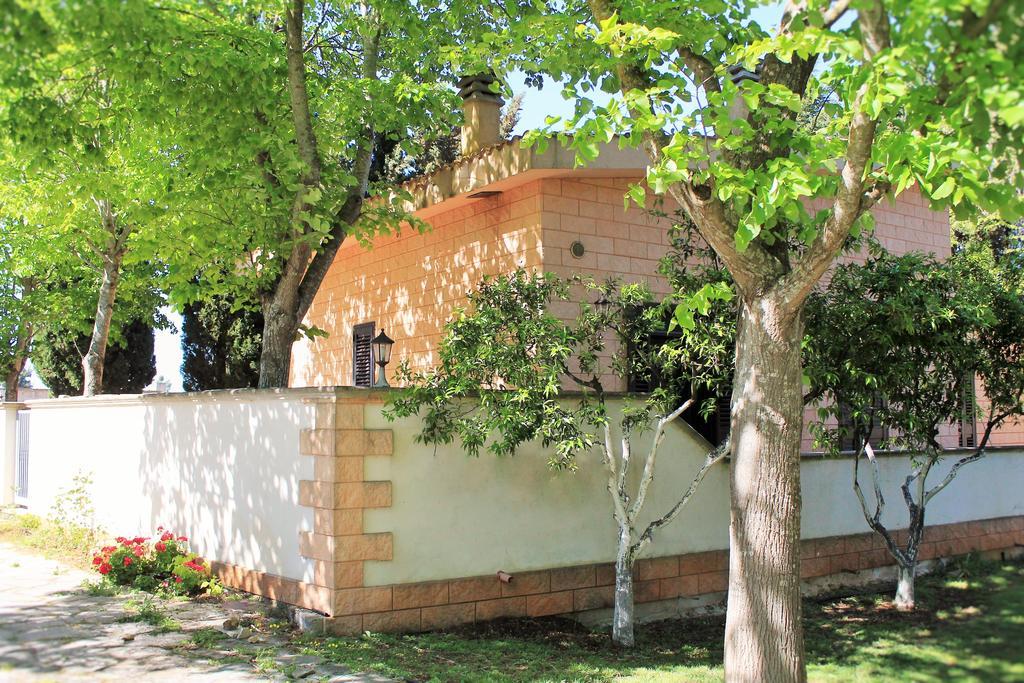 Appartement Dimora Il Tiglio- Mini *