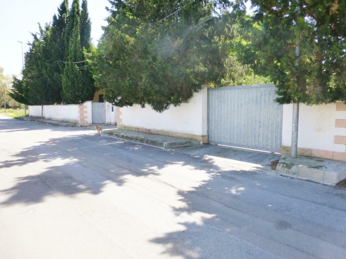 Dimora Il Tiglio- Mini Appartement