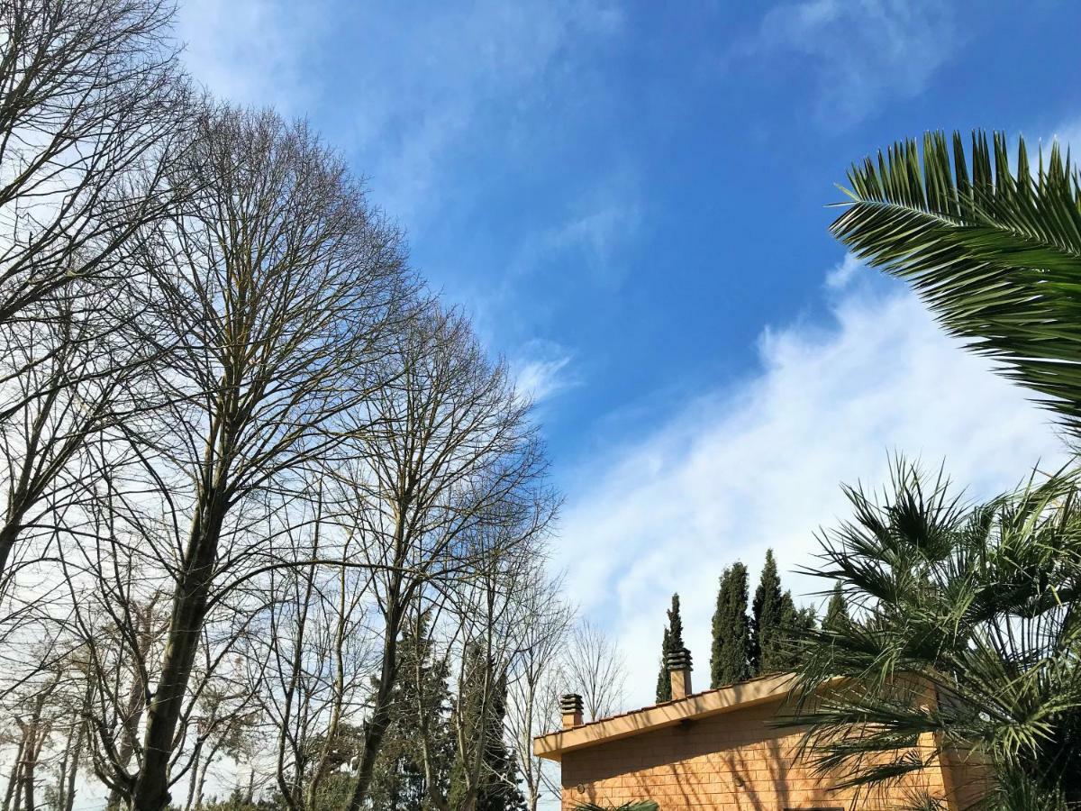 Dimora Il Tiglio- Mini Appartement *
