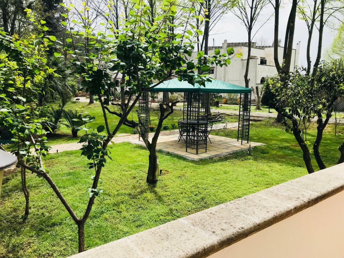 Dimora Il Tiglio- Mini Appartement *
