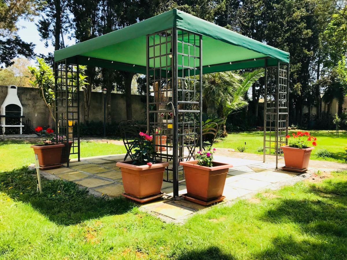 Dimora Il Tiglio- Mini Appartement *