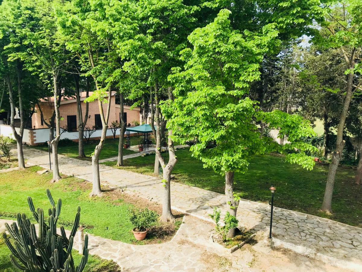 Dimora Il Tiglio- Mini Appartement *