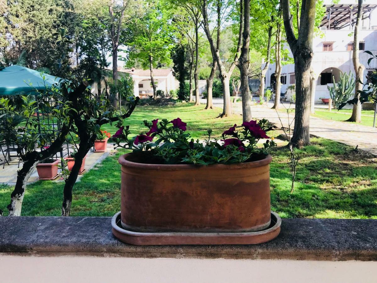 Dimora Il Tiglio- Mini Appartement Lecce