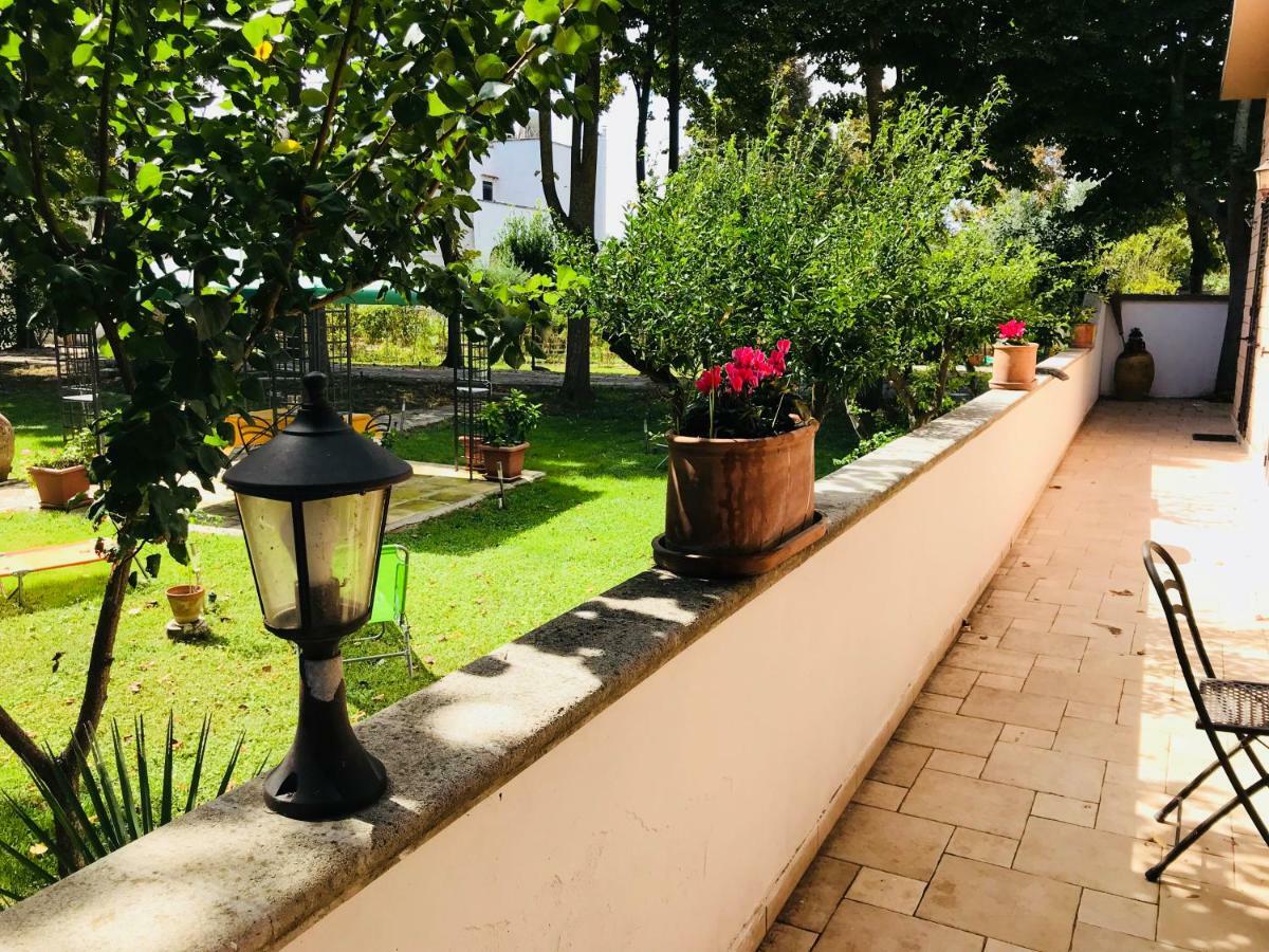 Dimora Il Tiglio- Mini Appartement *