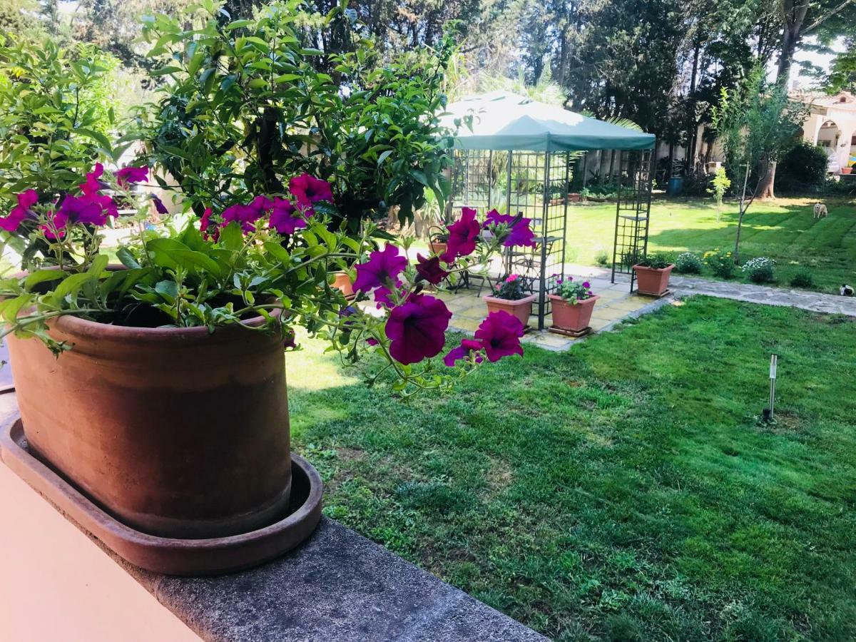 Appartement Dimora Il Tiglio- Mini
