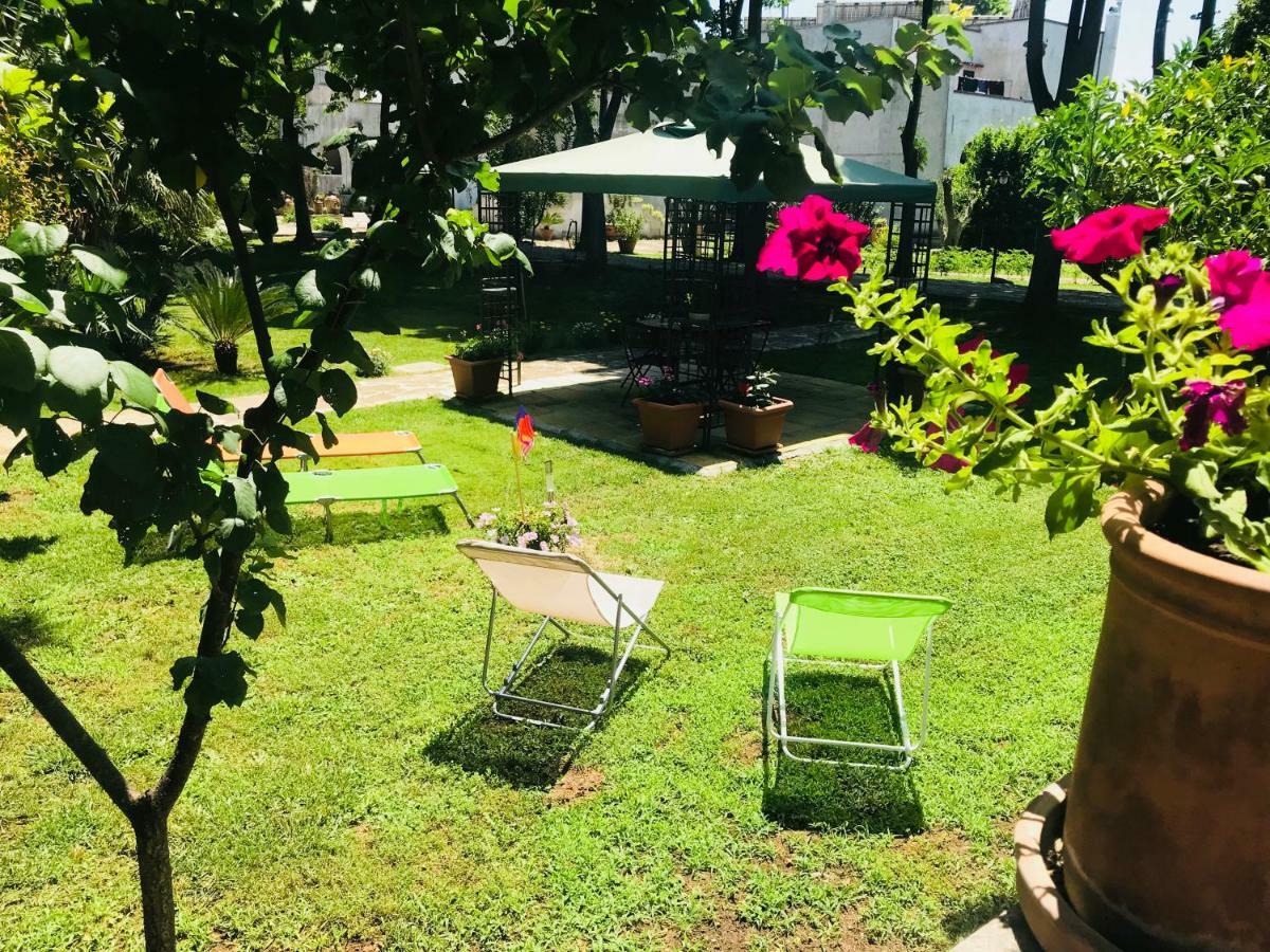 Dimora Il Tiglio- Mini *