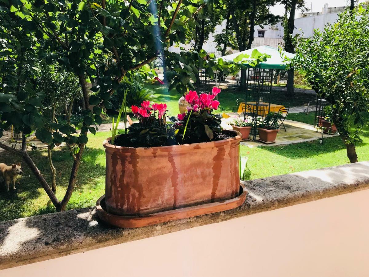 Dimora Il Tiglio- Mini *