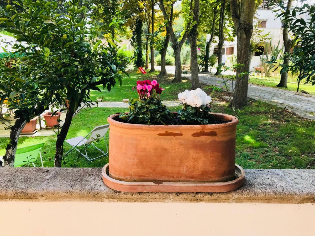 Dimora Il Tiglio- Mini Lecce
