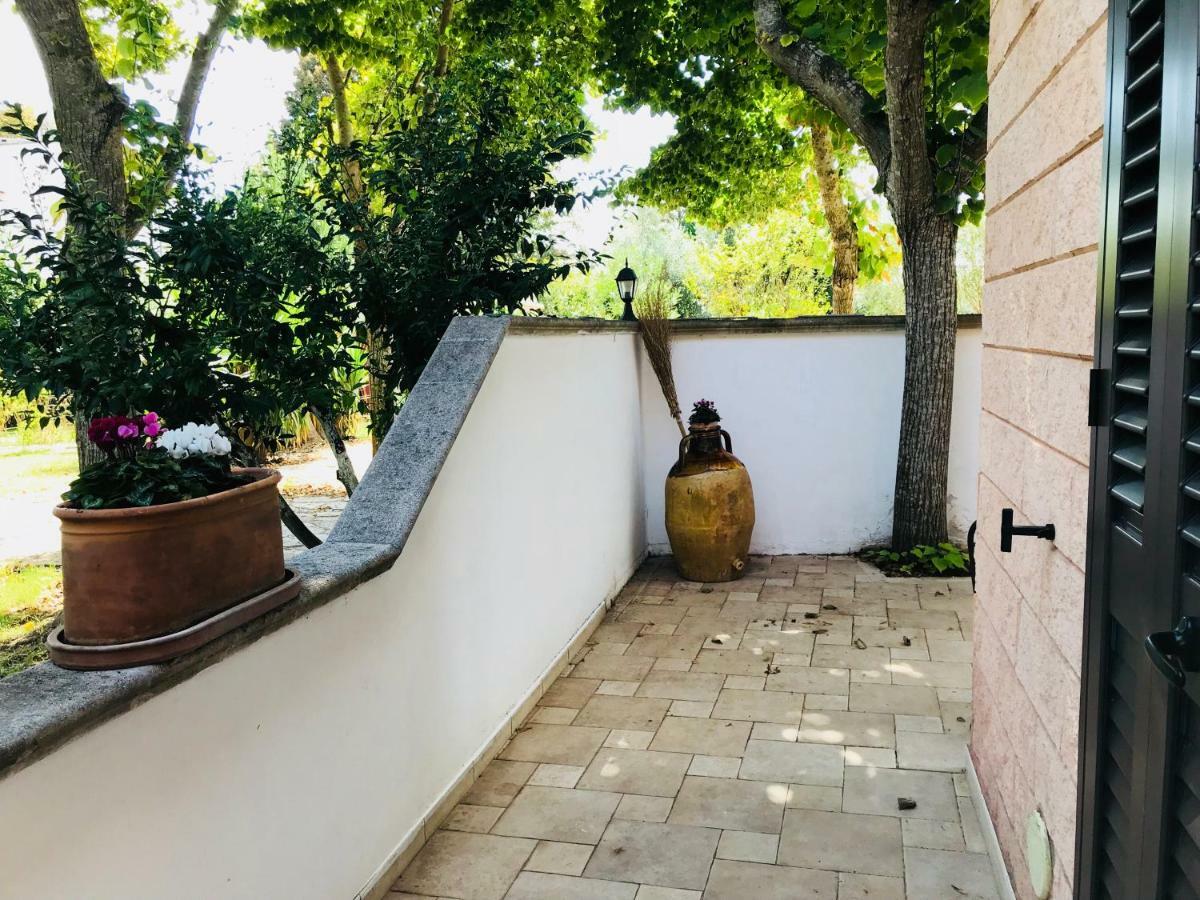 Dimora Il Tiglio- Mini Appartement *