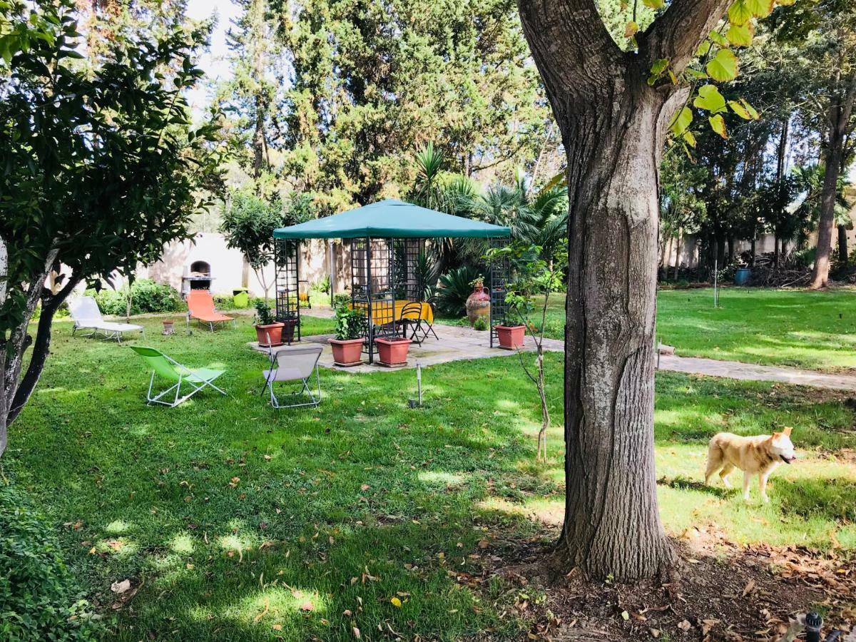 Appartement Dimora Il Tiglio- Mini