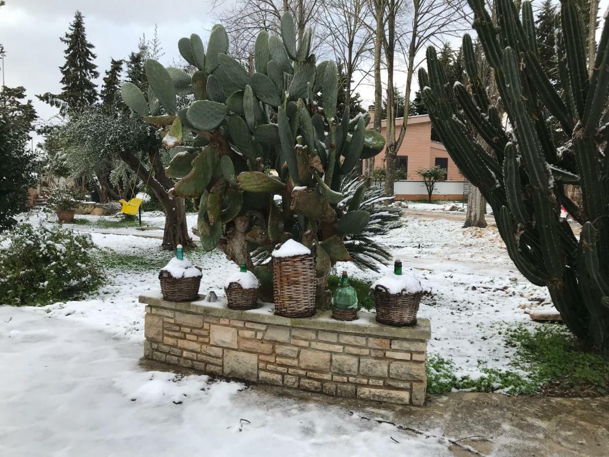 Dimora Il Tiglio- Mini Appartement